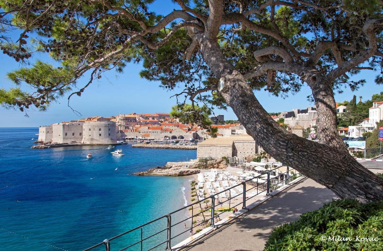 Mirror Apartment Dubrovnik Exteriör bild